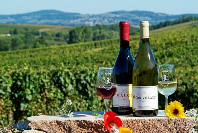 Quelle est la couleur du vin de Bourgogne?
